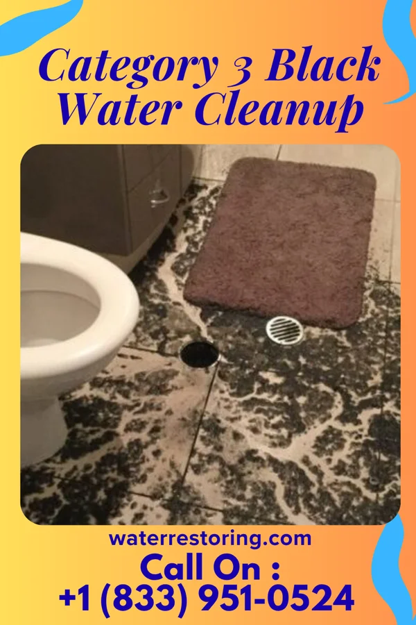 Category 3 Black Water Cleanup in West Mifflin, PA