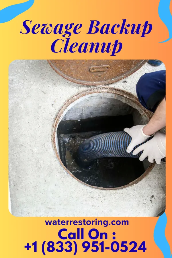 Sewage Backup Cleanup in West Mifflin, PA