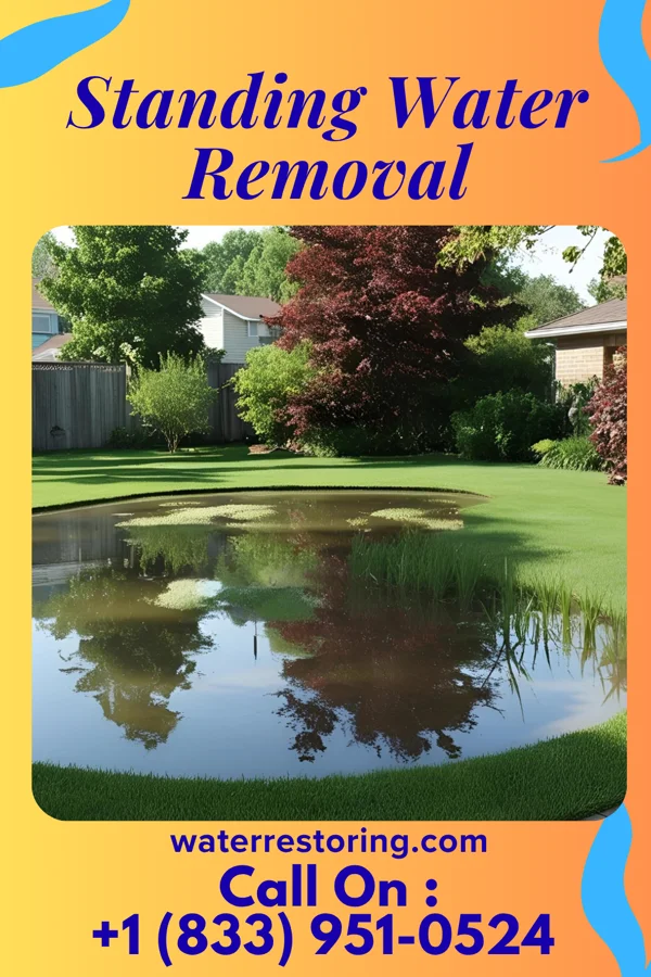 Standing Water Removal in West Mifflin, PA